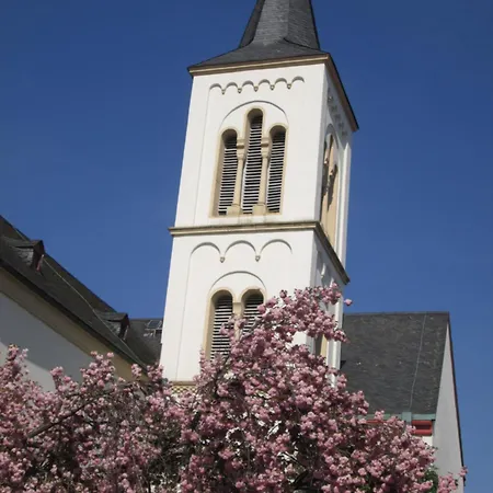Uebernachten In Der Kaiserpfalz Ingelheim am Rhein Exterior photo